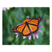 Gemeinsame Mahlzeit Fotodruck (Vorne)