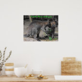 Gemeinsame Nutzung von Wallabies Poster (Küche)