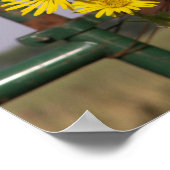 Gemeinsame Sonnenblumen am Tor Poster (Ecke)