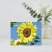 GEMEINSAME SONNENSCHIRME Sonnenblumenpostkarten So Postkarte (Stehend Vorderseite)