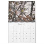 Gemeinsame Vogelarten im Kalender der Staaten (Jan 2027)
