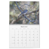 Gemeinsame Vogelarten im Kalender der Staaten (Mär 2027)