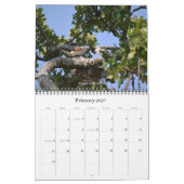Gemeinsame Vogelarten im Kalender der Staaten (Feb 2027)