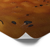 Gemeinsamer Europäischer Toad Bufo Bufo Schwarze K Poster (Ecke)