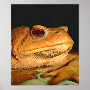 Gemeinsamer Europäischer Toad Bufo Bufo Schwarze K Poster