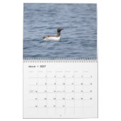 Gemeinsamer Murre-Kalender 2026 Kalender (Mär 2027)