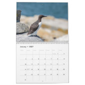 Gemeinsamer Murre-Kalender 2026 Kalender (Jan 2027)