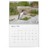 Gemeinsamer Murre-Kalender 2026 Kalender (Feb 2027)