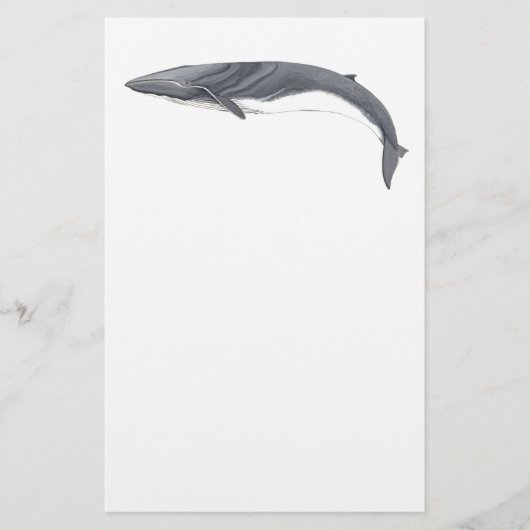 Gemeinsamer Rorcual Briefpapier (Vorderseite)