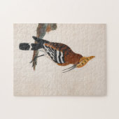 Gemeinsames Hoopoe | William Lewin Puzzle (Horizontal)