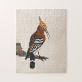 Gemeinsames Hoopoe | William Lewin Puzzle (Vertikal)