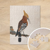 Gemeinsames Hoopoe | William Lewin Puzzle