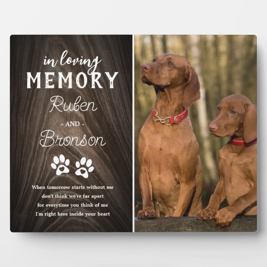 Gemeinsames Pet-Memorial 2-Foto Fotoplatte (Vorderseite)
