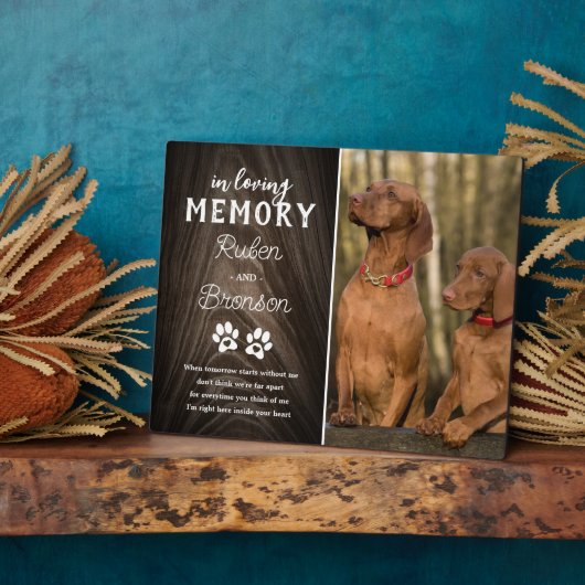 Gemeinsames Pet-Memorial 2-Foto Fotoplatte (Seite)