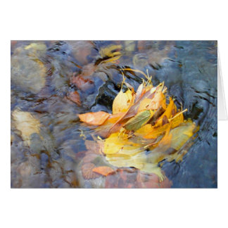 Gemeinschaft von Cynthia Wenslow