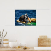 Gemini 11 Splashdown & Erholung Poster (Küche)