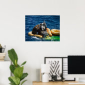 Gemini 11 Splashdown & Erholung Poster (Heimbüro)