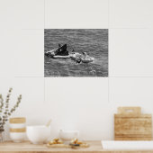 Gemini 11 Splashdown & Erholung Poster (Küche)