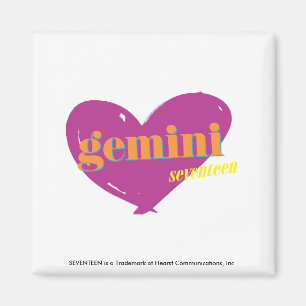 Gemini 2 magnet