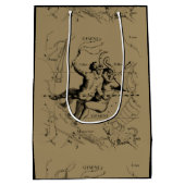 Gemini Constellation Hevelius 1690 Mai12-Juni20 Mittlere Geschenktüte (Rückseite)