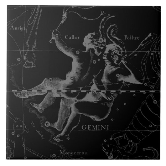 Gemini Constellation Karte Hevelius 1690 auf Schwa Fliese (Vorderseite)