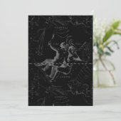 Gemini Constellation Map Gravur von Hevelius (Stehend Vorderseite)