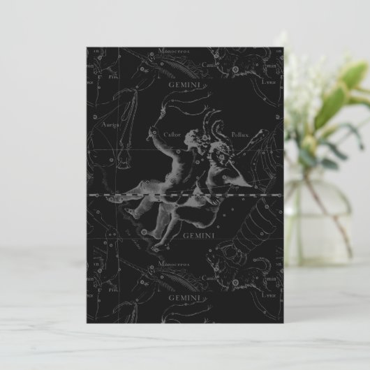 Gemini Constellation Map Gravur von Hevelius (Stehend Vorderseite)