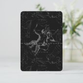 Gemini Constellation Map Gravur von Hevelius (Stehend Vorderseite)