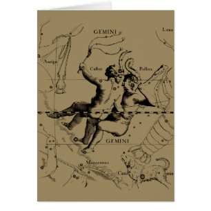 Gemini Constellation Map Hevelius circa 1690