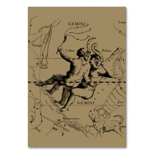 Gemini Constellation Map Hevelius circa 1690 Tischnummer (Vorderseite)
