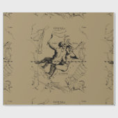 Gemini Constellation Zodiac Hevelius 1690 Geschenkpapier (Flach)