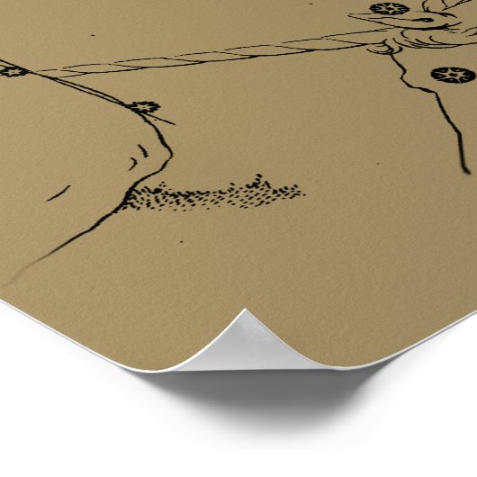 Gemini Constellation Zodiac Hevelius 1690 Poster (Ecke)