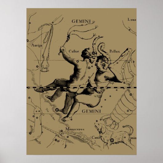 Gemini Constellation Zodiac Hevelius 1690 Poster (Vorne)