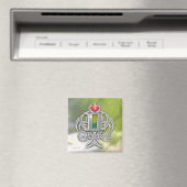 Gemini Magnet (In Situ (Geschirrspüler))