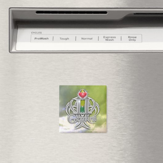 Gemini Magnet (In Situ (Geschirrspüler))