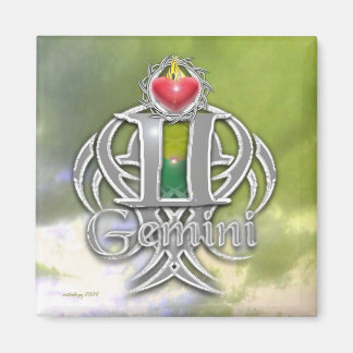 Gemini Magnet