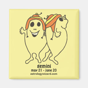 Gemini Magnet
