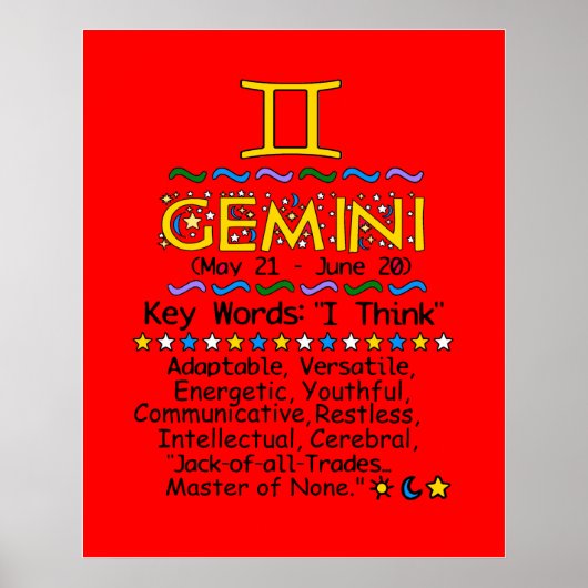 GEMINI POSTER (Vorne)