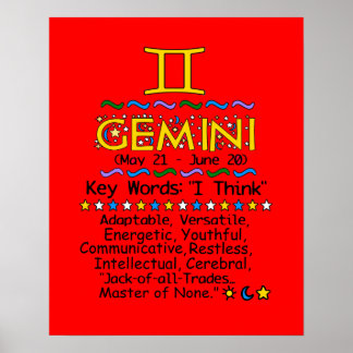 GEMINI POSTER