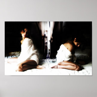 Gemini-Poster Poster