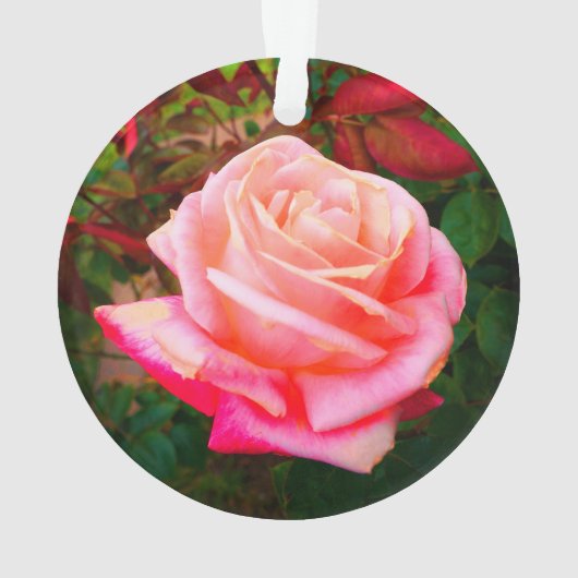 Gemini Rose #2-1 Ornament (Rückseite)