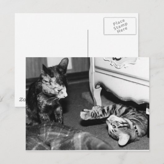 Gemini & Whisper Postkarte (Vorne/Hinten)