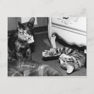 Gemini & Whisper Postkarte