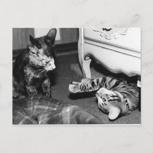 Gemini & Whisper Postkarte (Vorderseite)