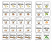 Gemischte Extraktgeschmacksstoffe Set 1 Aufkleber (Vorderseite)