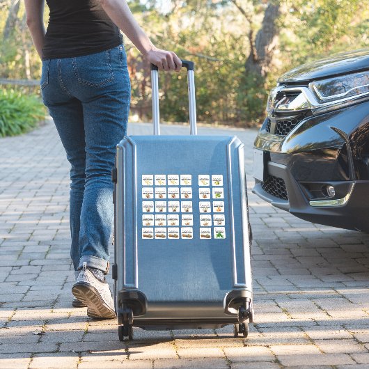 Gemischte Extraktgeschmacksstoffe Set 1 Aufkleber (Koffer Insitu)