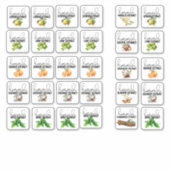 Gemischte Extraktgeschmacksstoffe Set 2 Aufkleber (Vorderseite)