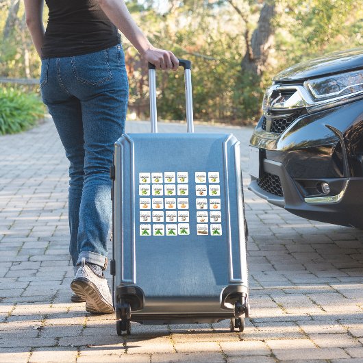 Gemischte Extraktgeschmacksstoffe Set 2 Aufkleber (Koffer Insitu)