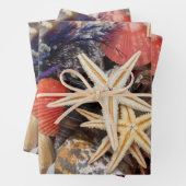 Gemischte farbige Muscheln und Seehecht Geschenkpapier Set (Beispiel)