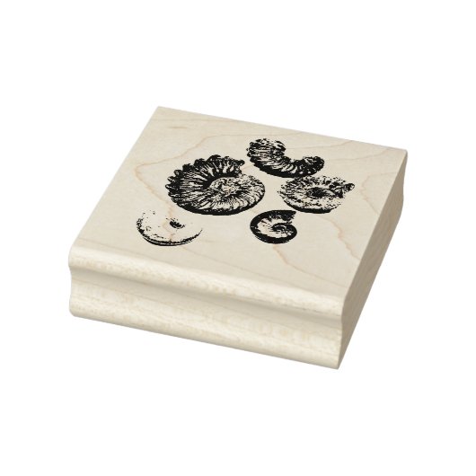 Gemischte Fossilien Gummistempel (Stempel)